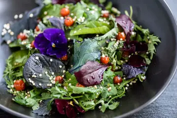 Grüner Salat